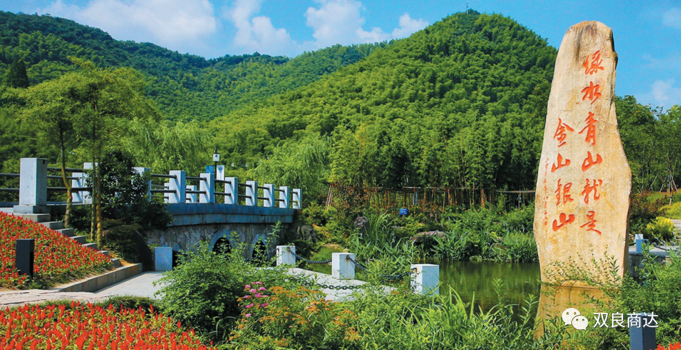 臥虎藏龍取景地，安吉大竹海！商達(dá)五鶴村農(nóng)村污水示范站點(diǎn)投入試運(yùn)行