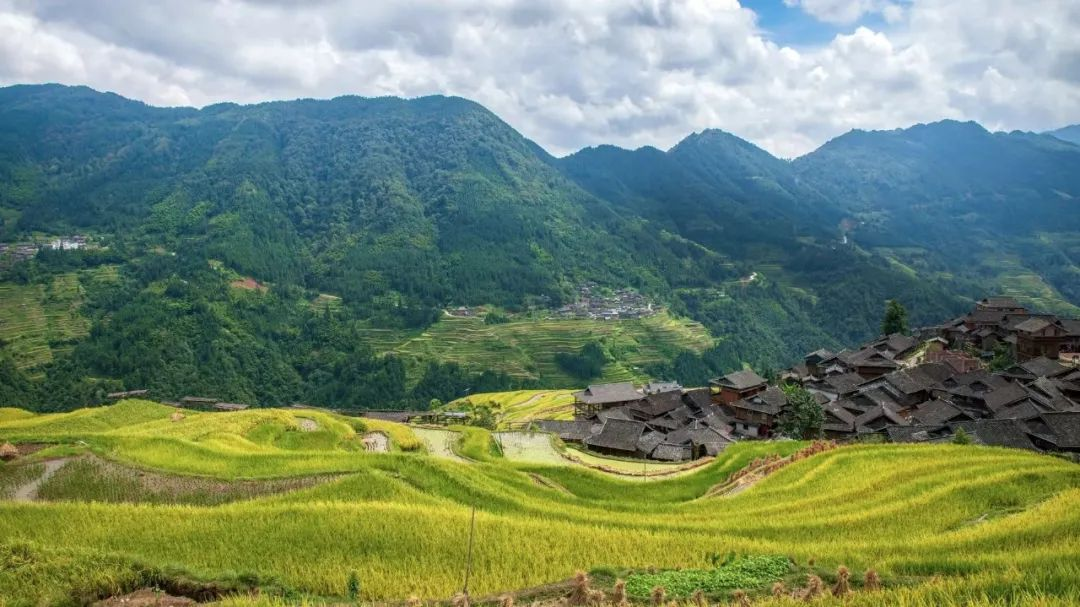 安徽：農(nóng)村黑臭水體整治，強化推進會落實