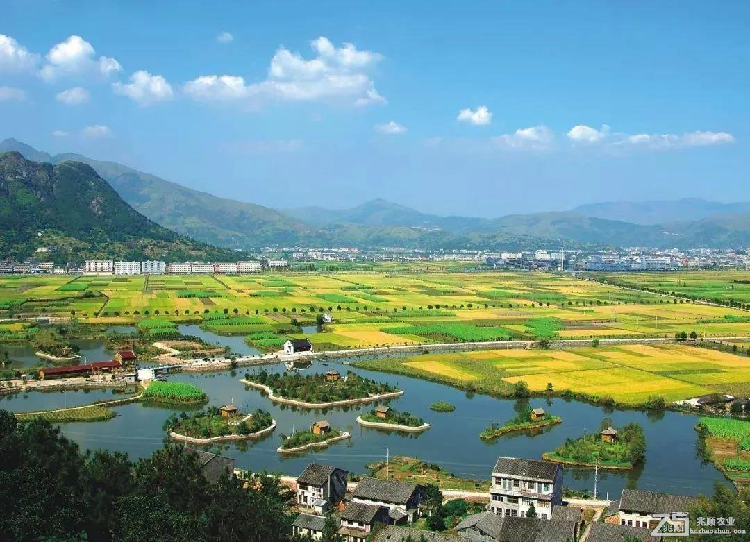 含污水處理項目、農業(yè)林業(yè)領域，優(yōu)先選擇民營企業(yè)參與，《關于規(guī)范實施政府和社會資本合作新機制的指導意見》發(fā)布