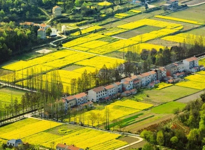 2025年治理率達(dá)到65.76%以上，武漢市農(nóng)村生活污水治理三年行動實(shí)施方案發(fā)布