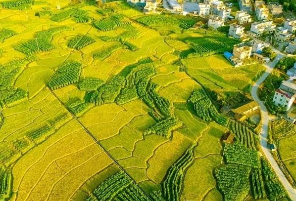 農(nóng)村污水處理：不同省份如何因地制宜？