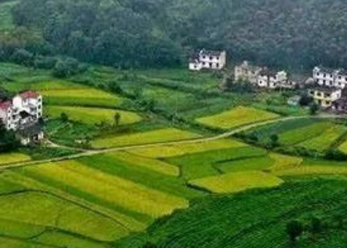 年安排3億元！福建加快推進(jìn)農(nóng)村生活污水提升治理！