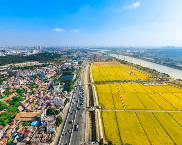 關于印發(fā)《2025年鄉(xiāng)村振興戰(zhàn)略專項省級組織實施項目（第二批）入庫申報指南》的通知