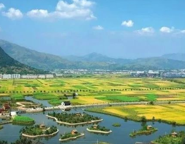 山東印發(fā)實施意見，大力發(fā)展現(xiàn)代設(shè)施農(nóng)業(yè)